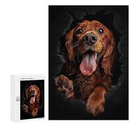 Puzzle Per Adolescenti 300 PCS Irish Setter Puzzle Divertenti Da Assemblare, Modelli, Regali Unici Per Compleanno E Natale 300 PCS