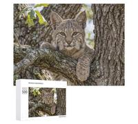 Puzzle Per Adolescenti 500 PCS Bobcat in A Tree Puzzle Antistress Decorazione Per La Casa Regali Unici Per Compleanno E Natale 500 PCS
