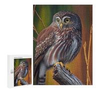 Puzzle Per Adolescenti 500 PCS Northern Pygmy Owl Puzzle Per Adulti Gioco Rompicapo Assemblaggio Di Modelli Interazione Genitore-figlio 500 PCS