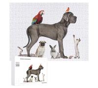 Puzzle Per Adolescenti 500 PCS Pet Diversity Display Puzzle Per Adulti Giochi Rilassanti Decorazione Da Parete Ottimo Regalo Per I Giocatori 500 PCS