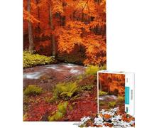Puzzle per adolescenti da 1000 pezzi Bosco autunnale Ruscello Puzzle per adulti Difficile Lista dei desideri con Babbo Natale Rompicapo Giochi per famiglie 38x52cm