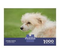Puzzle Per Adolescenti Da 1000 Pezzi Chinese Crested Dog Puzzle Per Adulti Gioco Rompicapo Decorazione Per La Casa Interazione Genitore-figlio 38x26cm/1000pcs