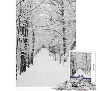 Puzzle per adolescenti da 1000 pezzi con tema "Neve nella foresta" gioco educativo regalo per donne giocattolo educativo lista dei desideri con Babbo Natale (38x26cm)