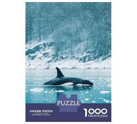 Puzzle Per Adolescenti Da 1000 Pezzi Orca in Snowy Waters Puzzle Per Adolescenti Gioco Per Famiglie Sfida Difficile Regali Unici Per Compleanno E Natale 70x50cm/1000pcs