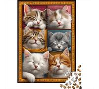 Puzzle Per Adolescenti Puzzle Da 1000 Pezzi Sleepy Cats Compilation Puzzle Per Adulti Giochi Rilassanti Ma Divertenti E Umoristici Regali Unici Per Compleanni 38x26cm/1000pcs