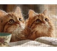 Puzzle per Adulti 1000, Gatto Carino, legno Classico Puzzles LDYQS6-399