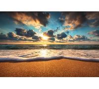 Puzzle Per Adulti 1000 Pezzi Bella Spiaggia Puzzle Alba Sul Mare Paesaggio Foto Tramonto Hawaii Palm Immagini Natura Famiglia Divertente Impegnativo Vacanza Puzzle Regalo