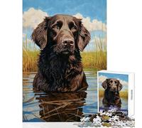Puzzle per adulti 1000 pezzi FlatCoated Retriever Water Giocattoli antistress Ottimi regali e giocattoli Gioco pratico con pezzi completamente interconnessi di forma casuale Dimensioni 50x75cm
