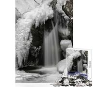 Puzzle per adulti 1000 pezzi Frozen Falls of Bruar Giocattolo educativo Ottimo regalo per giochi per gioco educativo Allena il tuo cervello e le tue mani Dimensioni 38x52cm
