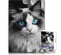Puzzle per adulti 1000 pezzi Gatto Ragdoll dagli occhi blu Rompicapo Giochi per famiglie Vacanze a casa Idee regalo per ammazzare il tempo Dimensioni 38x26cm