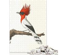 Puzzle per adulti 1000 pezzi Illustrazione di uccello dal ciuffo rosso Puzzle creativi rettangolari Gioco di decompressione 38x26 cm/1000 pezzi
