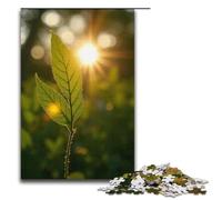 Puzzle per adulti 1000 pezzi. La luce del sole splende attraverso i rami e le foglie proiettando ombre screziate. Puzzle in legno gioco educativo sfida giocattolo 1000 pezzi (38x26 cm).