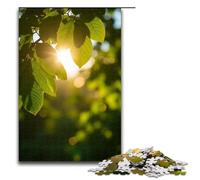 Puzzle per adulti 1000 pezzi. La luce del sole splende attraverso i rami e le foglie proiettando ombre screziate. Puzzle in legno gioco educativo sfida giocattolo 1000 pezzi (75x50 cm).