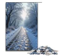 Puzzle per adulti 1000 pezzi La strada di ciottoli è ricoperta di brina argentata Puzzle per la casa Giochi educativi Giocattoli fai da te Ottimo regalo per giochi 1000 pezzi (38x26 cm)