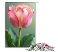 Puzzle per adulti 1000 pezzi Puzzle rosa pesca e verde salice Ogni pezzo è unico - Gioco divertente e stimolante per tutta la famiglia 1000 pezzi (38x26 cm)