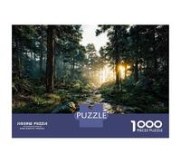 Puzzle Per Adulti 1000 Pezzi Sunlight Streams through A Forest Path Puzzle Per Adolescenti Giochi Per Famiglie Sfida Difficile Aiuta L'esercizio Del Cervello 38x26cm/1000pcs