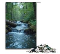 Puzzle per adulti 1000 pezzi Suono dell'acqua di sorgente Famiglia Puzzle in legno Gioco educativo Sfida Giocattolo 1000 pezzi (38x26 cm)