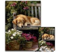 Puzzle per adulti 1000 puzzle Golden Retriever su sedia Puzzle antistress per ammazzare il tempo in vacanza, un'opera d'arte per bambini dai 14 anni in su 50x75cm