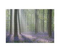 Puzzle Per Adulti 1000pcs(38x26cm) Bluebell Forest in Morning Light Puzzle Per Adulti Gioco Rompicapo Migliora La Memoria Divertimento Attività A Casa, 1000pcs(38x26cm)