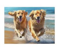 Puzzle per Adulti 1500 pezzi, puzzle per adulti Intrattenimento Creativo, puzzles 1500 pezzi per adulto Gioco impegnativo Puzzles (Labrador felice sulla spiaggia)