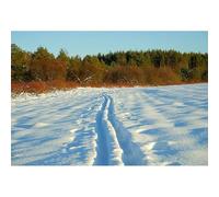 Puzzle per adulti 200(35x25cm) pezzi - Puzzle boschivo con tracce di ruote sulla neve, gioco per il tempo libero rilassante e anti-stress