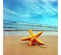 Puzzle per Adulti 200 pezzi, puzzle per adulti Intrattenimento Creativo, puzzles 200 pezzi per adulto Gioco impegnativo Puzzles per Bambini (Spiaggia delle stelle marine)