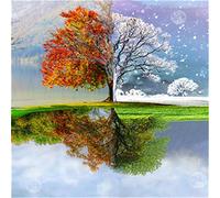 Puzzle per Adulti 2000 Pezzi Puzzle Paesaggio Puzzle Le quattro stagioni dell'albero Puzzle per Bambini Decompressione e Regalo 70X100cm（27.55 * 39.37inch）