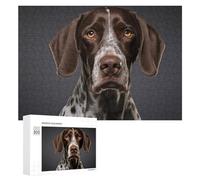 Puzzle Per Adulti 300 PCS Puzzle German Shorthaired Pointer Puzzle Gioco Rompicapo Un'opera D'arte Regali Di Compleanno E Unici 300 PCS