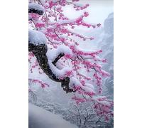 Puzzle per Adulti 300 Pezzi Fiori Prugna Neve Puzzle Difficile, Sviluppa Capacità di Osservazione, Logica e Manualità Puzzle 300 Pezzi 40x28 cm