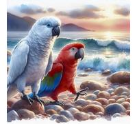 Puzzle Per Adulti 45x45 cm,500 pezzi puzzle per adulti, Regalo DIY Puzzles, Collezione Educativo Classico Creativo puzzles - Pappagalli di mare