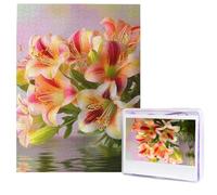 Puzzle per adulti 500 pezzi Puzzle in legno arte moderna Alstroemeria Puzzle sfidanti Puzzle con immagine personalizzata Puzzle fotografico personalizzato per regalo famiglia