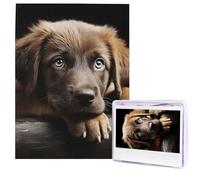 Puzzle per adulti 500 pezzi Puzzle in legno arte moderna cuccioli cane puzzle sfidante puzzle immagine personalizzata puzzle foto personalizzato per regalo famiglia
