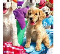 Puzzle per adulti a tema cani | Gioco di design del cane che fa il bucato, Puzzle 1000 pezzi per adulti con lettere sul retro, per anziani e per tutti i