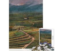 Puzzle per adulti da 1000 pezzi Case Solitarie Gioco Impossibile Giocattolo educativo antistress per migliorare l'amore tra le coppie (50x75cm)