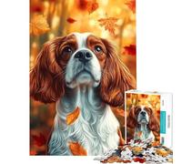 Puzzle per adulti da 1000 pezzi Cavalier King Charles Spaniel in autunno Un gioco avvincente per coltivare la pazienza ideale per tutta la famiglia perfetto come decorazione o come regalo divertente