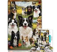 Puzzle per adulti da 1000 pezzi, collage di Border Collie, aiuta il cervello a esercitare i giocattoli avvincenti per coltivare la pazienza, regalo per compleanni (75x50cm)