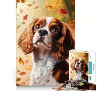 Puzzle per adulti da 1000 pezzi con Cavalier King Charles Spaniel in autunno,bordi sottili,gioco creativo,divertente e rilassante,regalo di compleanno (38x52cm)