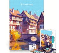Puzzle per adulti da 1000 pezzi con i canali di Strasburgo, incastro preciso, gioco di logica, divertimento assicurato, regalo di compleanno (38x26cm)