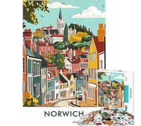 Puzzle per adulti da 1000 pezzi con il paesaggio urbano di Norwich Gioco rompicapo per adulti ideale per divertirsi in famiglia perfetto come regalo di Natale o di compleanno (dimensioni 38x26cm)