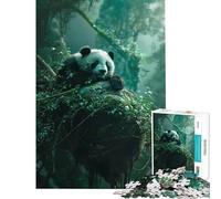Puzzle per adulti da 1000 pezzi con panda in una foresta lussureggiante Gioco divertente ed educativo ideale come sfida Ottimo regalo Sfida impegnativa (Dimensioni 50x75cm)