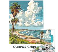 Puzzle per adulti da 1000 pezzi con scena della spiaggia di Corpus Christi giocattolo decorativo da parete taglio di precisione regalo di Natale e compleanno (dimensioni 50x75cm)