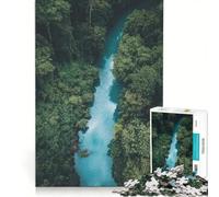 Puzzle per adulti da 1000 pezzi con vista aerea di un fiume nella foresta, gioco pratico, ideale per passare il tempo durante le vacanze a casa e per rafforzare l'amore di coppia 50x75cm