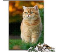 Puzzle per adulti da 1000 pezzi, gatto arancione, gioco intellettuale giocattolo, migliora l'amore tra coppie dai 14 anni in su (dimensioni 26x38cm)