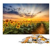 Puzzle per adulti da 1000 pezzi Il sentiero tra i girasoli giocattoli unici per decorazioni e regali adatti per adolescenti dai 14 anni in su (dimensioni 75x50 cm)