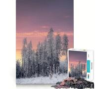Puzzle per adulti da 1000 pezzi,"La bellezza dell'inverno",con ritagli precisi,gioco stimolante per la mente,rilassante e regalo di Natale (50x75cm)