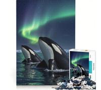 Puzzle per adulti da 1000 pezzi: Orche sotto l'aurora boreale gioco rilassante passatempo ideale per le vacanze a casa regalo perfetto per gli appassionati di videogiochi 50x75cm