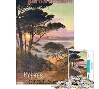 Puzzle per adulti da 1000 pezzi Parigi giochi per famiglie giocattoli educativi ottimo regalo per giocare vacanze a casa passare il tempo (dimensioni 38x52cm)