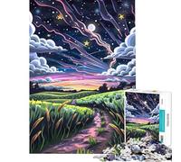 Puzzle per adulti da 1000 pezzi percorso magico sfida impegnativa da completare divertimento per tutta la famiglia giocattolo decorativo da parete adatto a partire dai 14 anni gioco di puzzle 38x52cm