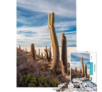 Puzzle per adulti da 1000 pezzi raffigurante le saline della Bolivia Gioco rilassante perfetto per adulti ideale come regalo (dimensioni 50x75cm)