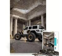 Puzzle per adulti da 1000 pezzi,raffigurante tramonti,con un design pulito e logico,un divertente gioco rilassante,perfetto come regalo di Natale (38x52cm)